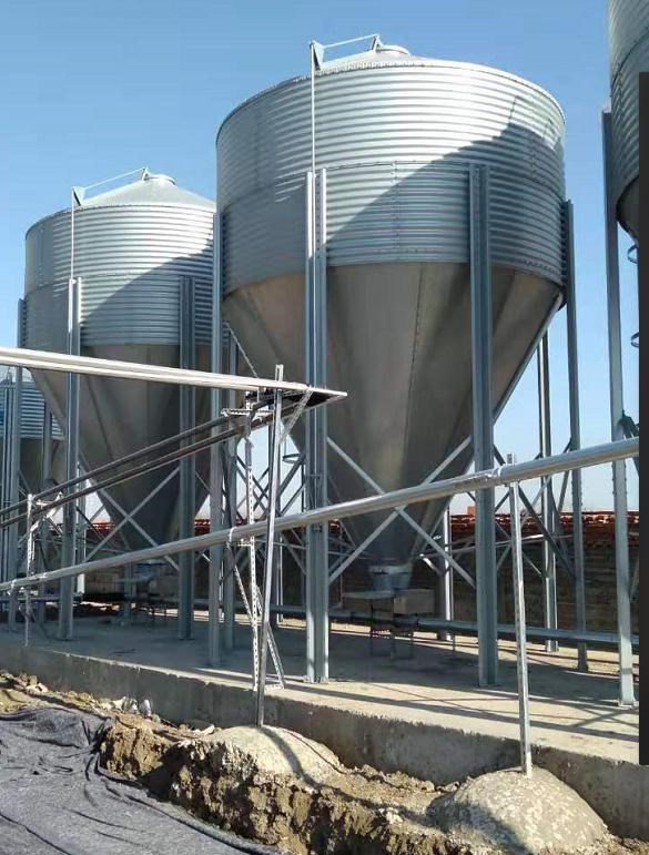 ͼƬ11.jpg ͼƬ11.jpg