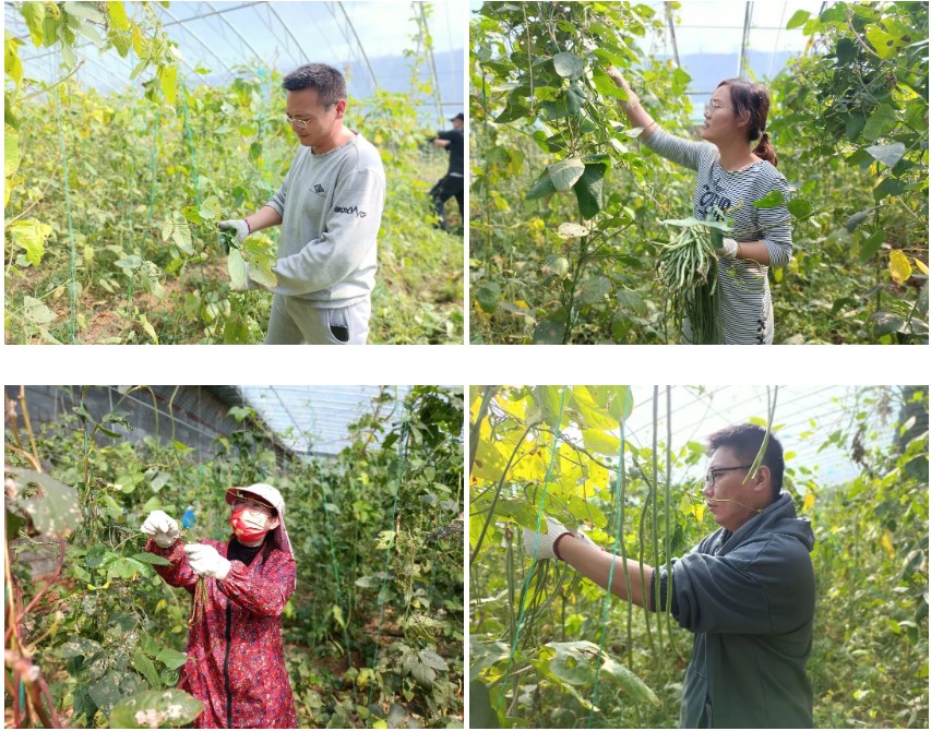 1665988343107.jpg 1665988343107.jpg