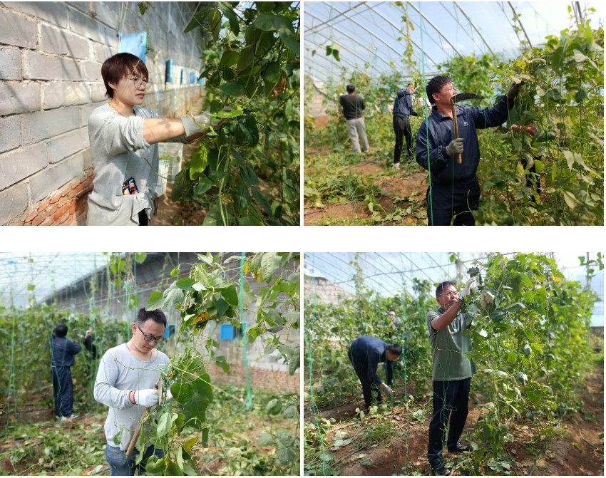 1665988374399.jpg 1665988374399.jpg