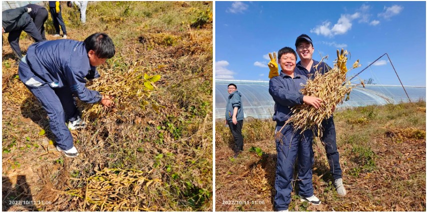 1665988569013.jpg 1665988569013.jpg