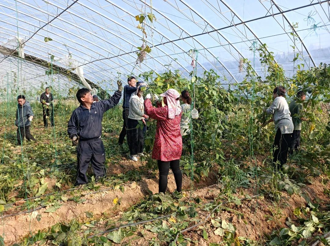 ΢ÐÅͼƬ_20221017144202.jpg ΢ÐÅͼƬ_20221017144202.jpg