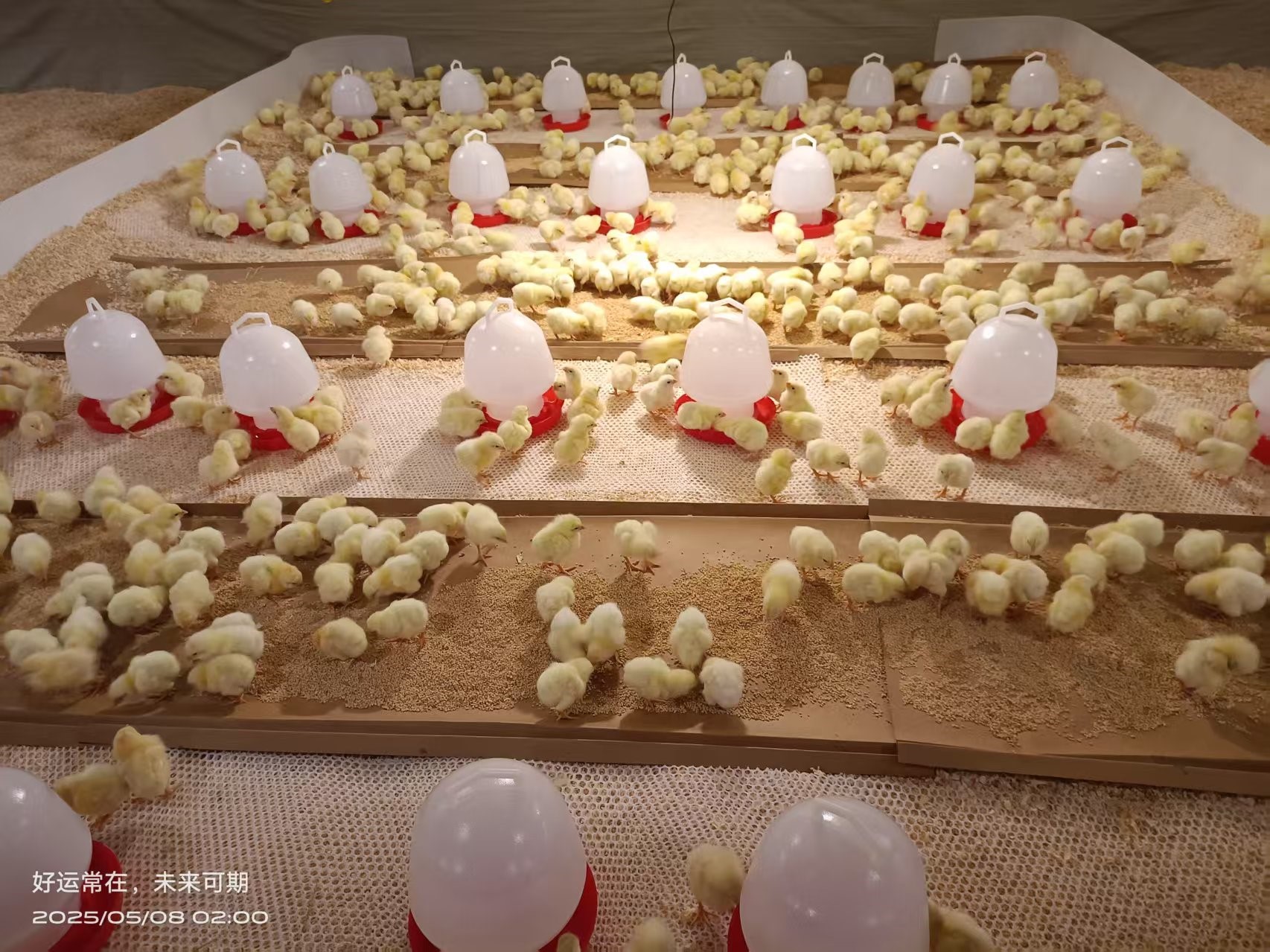 ϲѶstakeɷݰ⼦ Դսιҵ