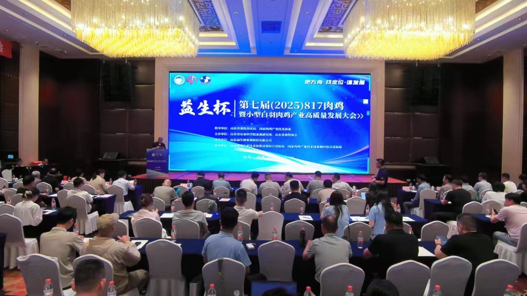 ۻ᡿stake--߽죨2025817⼦СͰ⼦ҵڼֳɾ