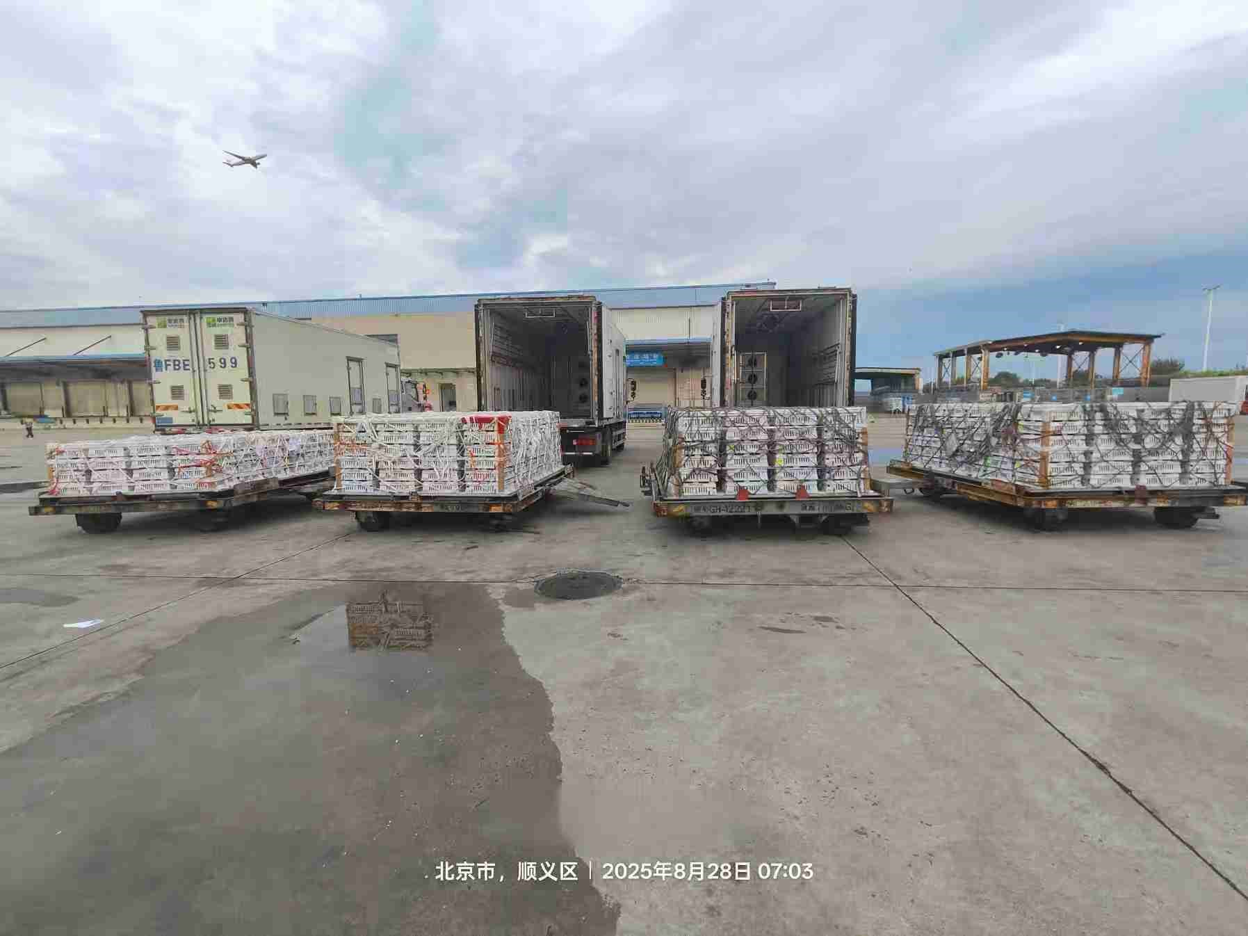 ֡stakeɷͻ16ռ59%Ⱦҵͷ