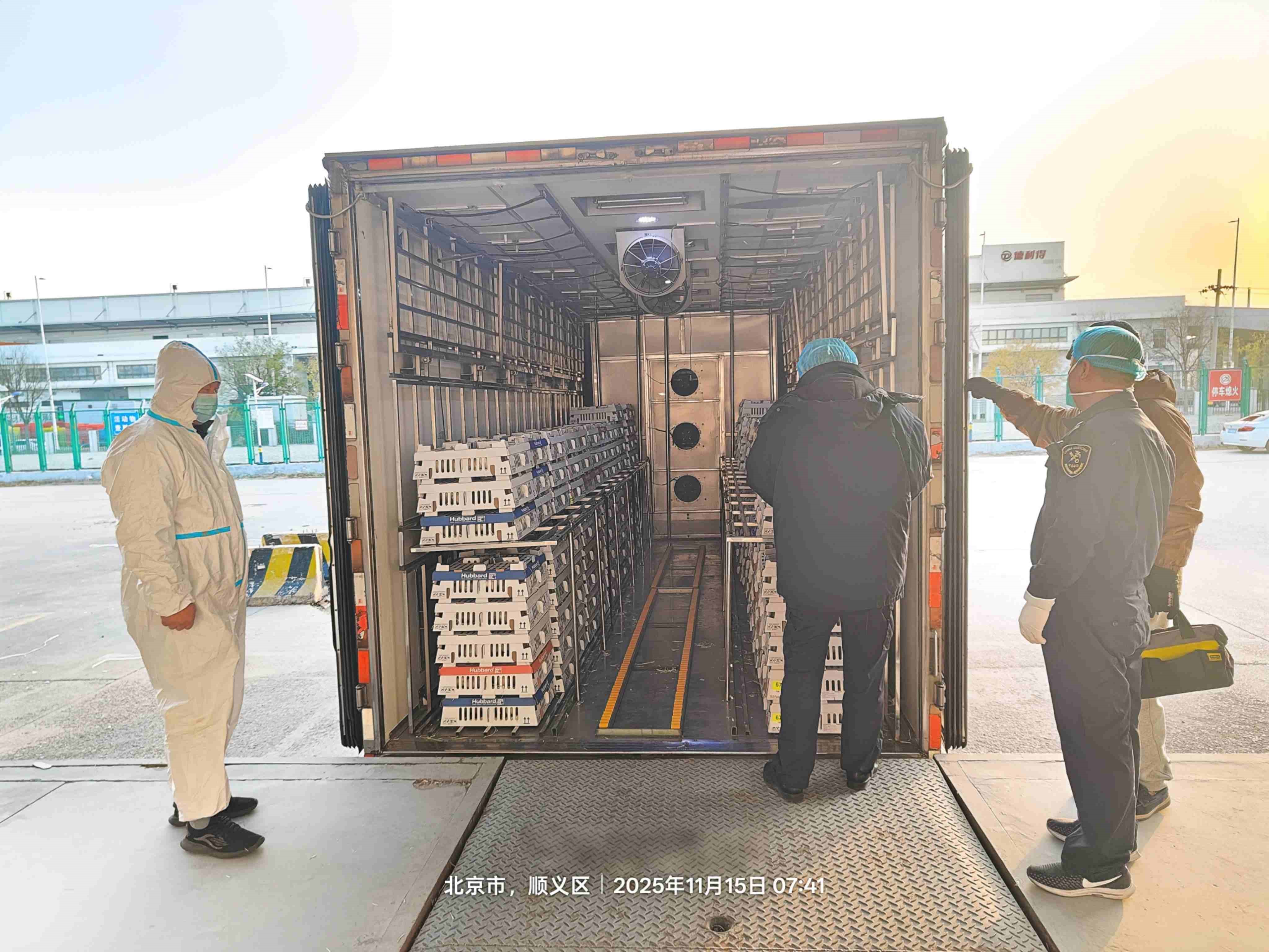 ΢ÐÅͼƬ_20251115094153(1).jpg ΢ÐÅͼƬ_20251115094153(1).jpg